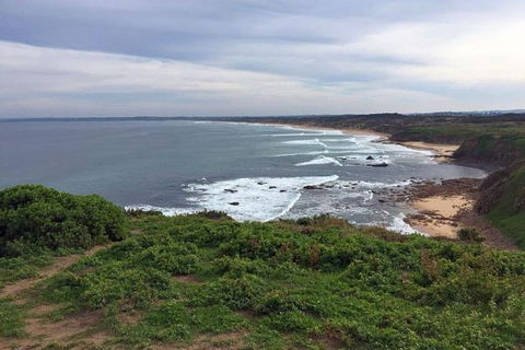 Half Day Phillip Island Woolamai Walking Tour - Kalgoorlie Accommodation 0