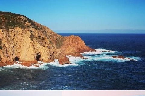Half Day Phillip Island Woolamai Walking Tour - Kalgoorlie Accommodation 1