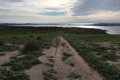 Half Day Phillip Island Woolamai Walking Tour - Kalgoorlie Accommodation 8