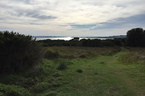Half Day Phillip Island Woolamai Walking Tour - Kalgoorlie Accommodation 4