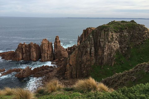 Half Day Phillip Island Woolamai Walking Tour - Kalgoorlie Accommodation 16