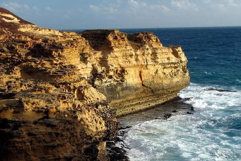 Half Day Phillip Island Woolamai Walking Tour - Kalgoorlie Accommodation 12