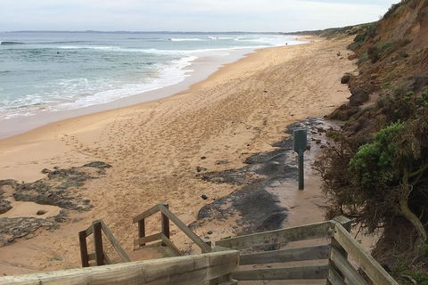 Half Day Phillip Island Woolamai Walking Tour - Kalgoorlie Accommodation 11