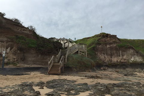 Half Day Phillip Island Woolamai Walking Tour - Kalgoorlie Accommodation 14