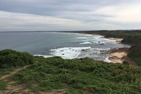 Half Day Phillip Island Woolamai Walking Tour - Kalgoorlie Accommodation 10