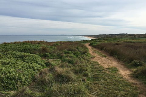 Half Day Phillip Island Woolamai Walking Tour - Kalgoorlie Accommodation 3