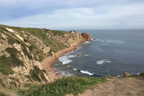 Half Day Phillip Island Woolamai Walking Tour - Kalgoorlie Accommodation 2