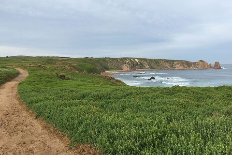 Half Day Phillip Island Woolamai Walking Tour - Kalgoorlie Accommodation 9