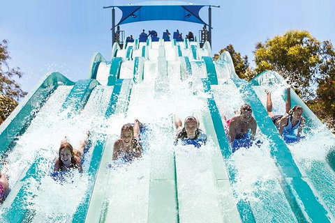 Adventure Park Geelong: General Admission Ticket - Kalgoorlie Accommodation 1