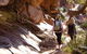 Full-Day Private Tour To Grampians From Melbourne - thumb 5