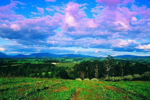 CHEVY CONVERTIBLE Package For 4 -Wine Lunch Cheese & Chocolate From Yarra Valley - Kalgoorlie Accommodation 7
