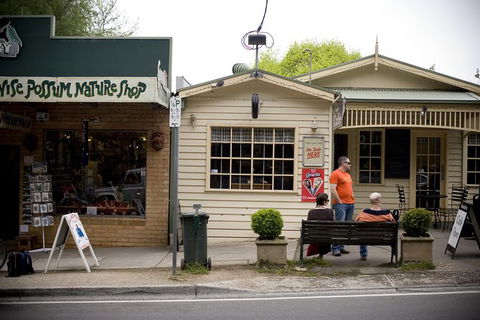 Half Day Puffing Billy Train Journey From Melbourne - Kalgoorlie Accommodation 10
