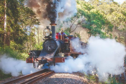 Half Day Puffing Billy Train Journey From Melbourne - Kalgoorlie Accommodation 4