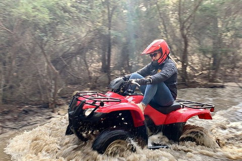 Half-Day Guided ATV Exploration Tour From Coles Bay - Kalgoorlie Accommodation 7
