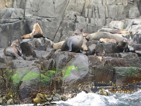 Full-Day Bruny Island Tour From Hobart - Kalgoorlie Accommodation 2