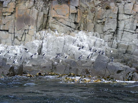 Full-Day Bruny Island Tour From Hobart - Kalgoorlie Accommodation 24