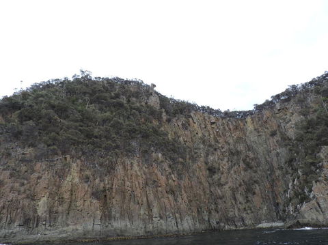 Full-Day Bruny Island Tour From Hobart - Kalgoorlie Accommodation 12