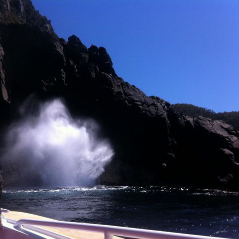 Full-Day Bruny Island Tour From Hobart - Kalgoorlie Accommodation 18