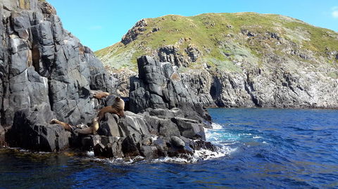Full-Day Bruny Island Tour From Hobart - Kalgoorlie Accommodation 6
