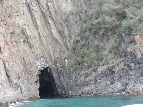 Full-Day Bruny Island Tour From Hobart - Kalgoorlie Accommodation 13