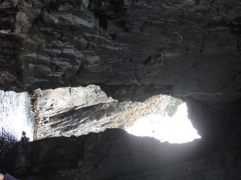 Full-Day Bruny Island Tour From Hobart - Kalgoorlie Accommodation 9