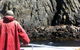 Full-Day Bruny Island Tour From Hobart - thumb 19