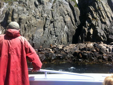 Full-Day Bruny Island Tour From Hobart - Kalgoorlie Accommodation 19