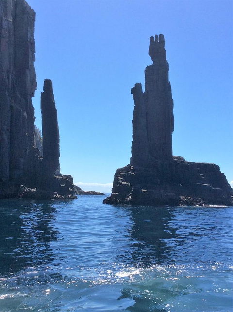 Full-Day Bruny Island Tour From Hobart - Kalgoorlie Accommodation 16