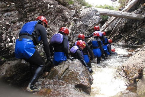 Half Day Cradle Mountain Canyoning: Lost World Canyon - Kalgoorlie Accommodation 1
