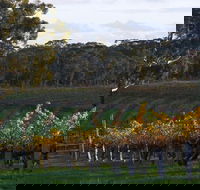 Barossa Valley with Hahndorf Tour from Adelaide - Kalgoorlie Accommodation