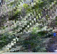 Self-Guided Waterfall Gully to Mount Lofty Hike from Adelaide - Kalgoorlie Accommodation