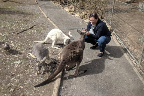 A Taste Of Adelaide And Hahndorf By Car Private Tour. - Kalgoorlie Accommodation 8