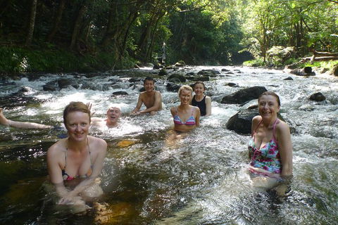 Daintree Rainforest, Cape Tribulation, Mossman Gorge In A Day - Kalgoorlie Accommodation 10