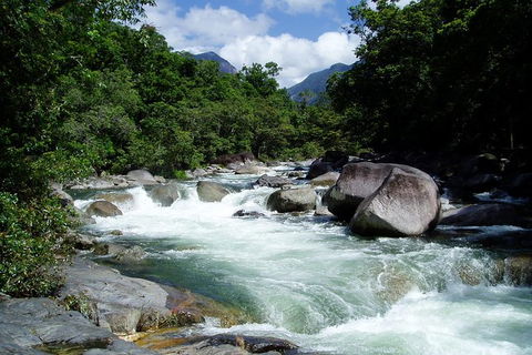 Daintree Rainforest, Cape Tribulation, Mossman Gorge In A Day - Kalgoorlie Accommodation 2
