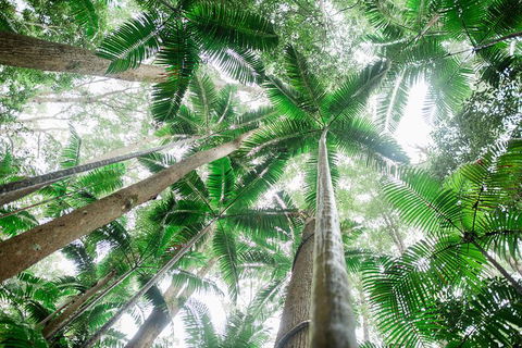 All-Inclusive 2-Day Fraser Island Tour - Kalgoorlie Accommodation 8