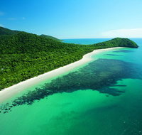 Cape Tribulation Mossman Gorge and Daintree Rainforest Day Trip from Cairns or Port Douglas - Kalgoorlie Accommodation