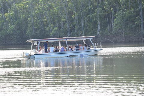 Daintree - Cape Tribulation & Atherton Tablelands Tours From Port Douglas - Kalgoorlie Accommodation 16