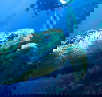 Scuba Dive the S.S. Yongala Wreck on the Great Barrier Reef. - Kalgoorlie Accommodation