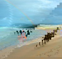 Rainbow Beach Horse Ride - Kalgoorlie Accommodation