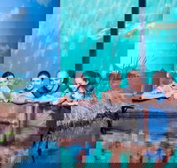 Reef HQ Great Barrier Reef Aquarium General Entry Ticket - Kalgoorlie Accommodation