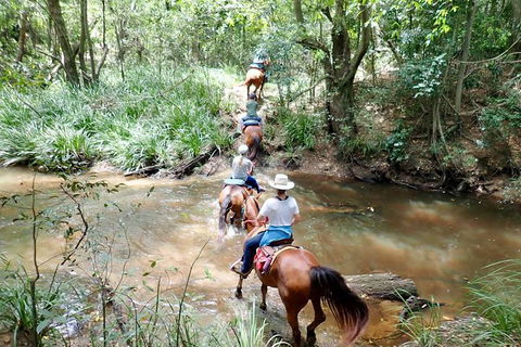 Country Day Ride From Mt Goomboorian With Rainbow Beach Horse Rides - Kalgoorlie Accommodation 1