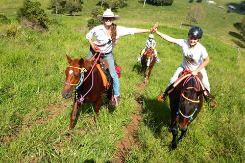Country Day Ride From Mt Goomboorian With Rainbow Beach Horse Rides - Kalgoorlie Accommodation 0