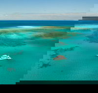 Great Barrier Reef Dive and Snorkel Cruise from Mission Beach - Kalgoorlie Accommodation