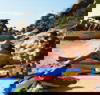 Orpheus Island Day Trip by Helicopter from Townsville - Kalgoorlie Accommodation