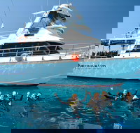 Great Barrier Reef Cruise from Townsville or Magnetic Island - Kalgoorlie Accommodation