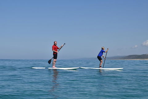 Stand Up Paddle Double Island Lesson - Kalgoorlie Accommodation 1