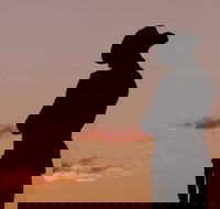 Townsville and the Australian Army Walking History Tour with Optional City Sightseeing - Kalgoorlie Accommodation