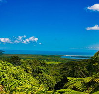 Cape Tribulation Day Tour - Kalgoorlie Accommodation