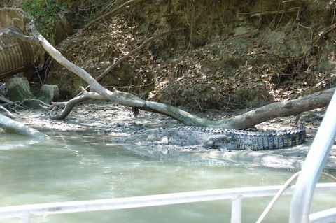 Kakadu Full-Day Tour From Darwin With Lunch - Kalgoorlie Accommodation 2