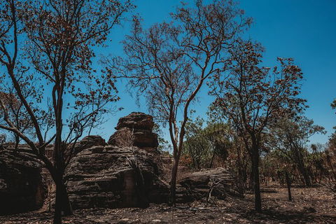 Kakadu Full-Day Tour From Darwin With Lunch - Kalgoorlie Accommodation 6